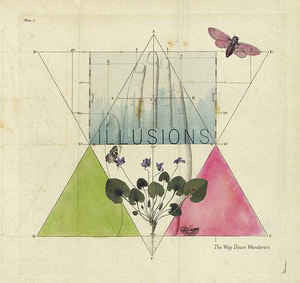 Way Down Wanderers – Illusions (Clear Vinyl) 🇺🇸