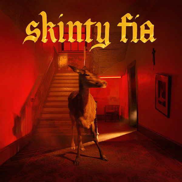 Fontaines D.c. – Skinty Fia 🇺🇸