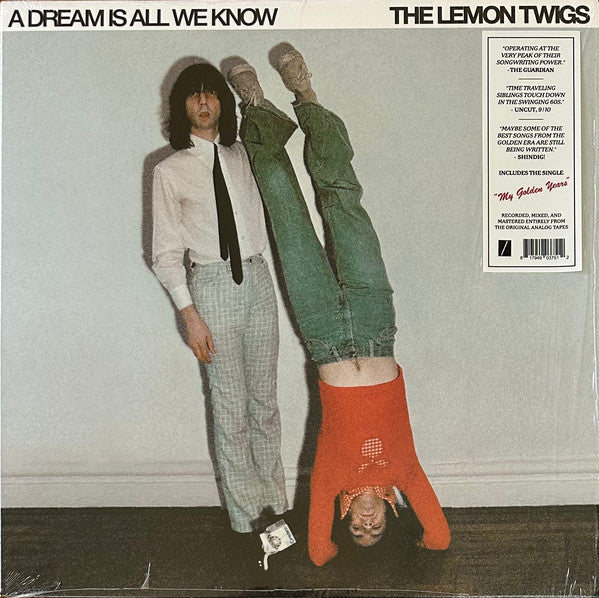Lemon Twigs – Dream Is All We Know 🇺🇸