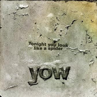 David Yow – Tonight You Look Like a Spider 🇺🇸