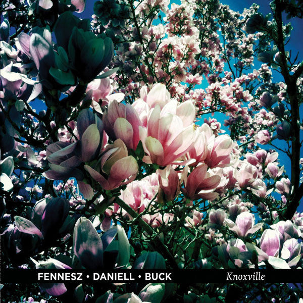 Fennesz / Daniell / Buck – Knoxville 🇺🇸