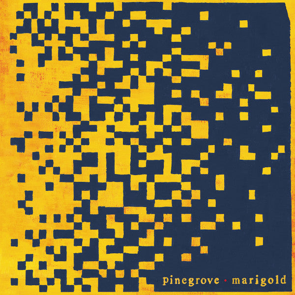 Pinegrove – Marigold 🇺🇸