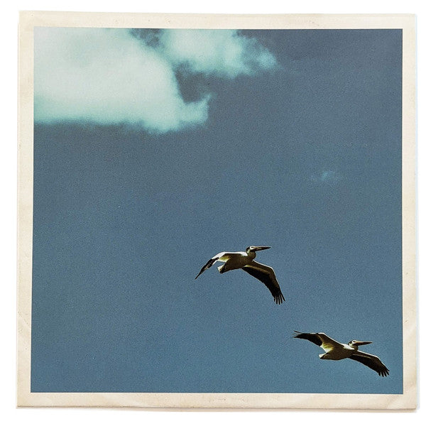 Sim Nagai – Palm Dreams 🇺🇸