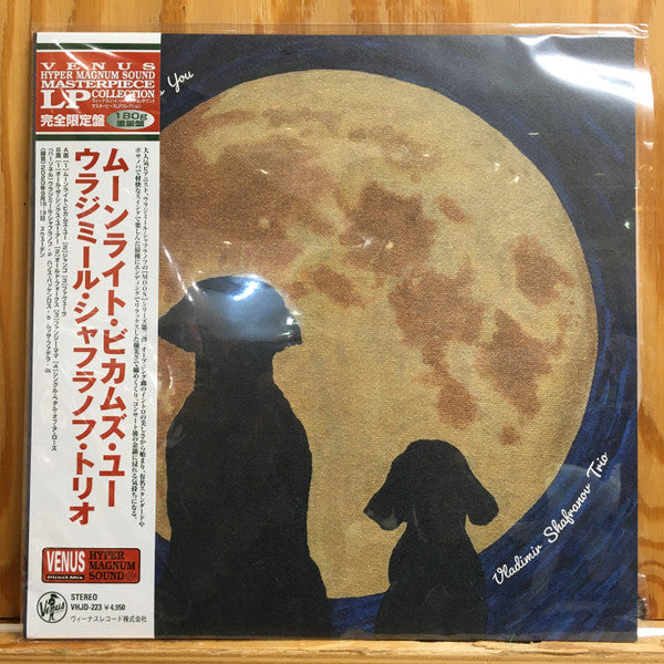 Vladimir Shafranov Trio – Moonlight Becomes You 🇺🇸