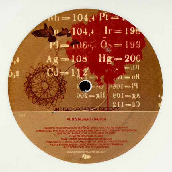 Untitled Orchestra – It's Never Forever (Usado)