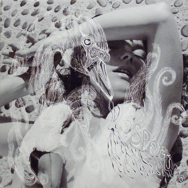Bjork – Vespertine 🇺🇸