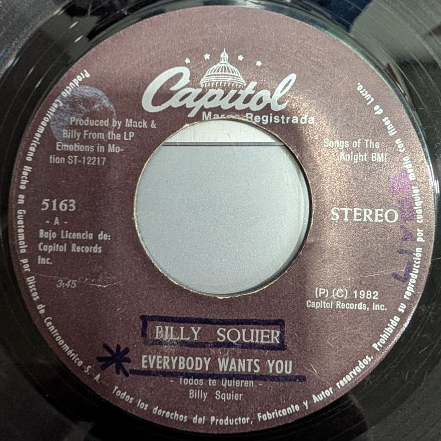 Billy Squier – Everybody Wants You [7" Single] (Usado)