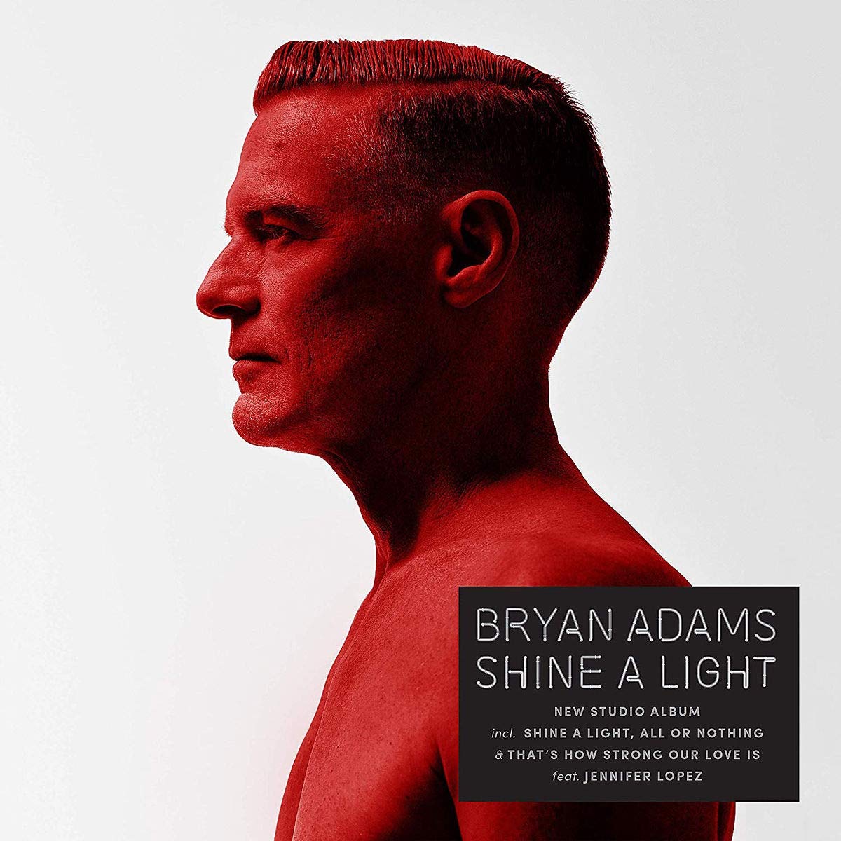 Bryan Adams – Shine A Light (Usado)