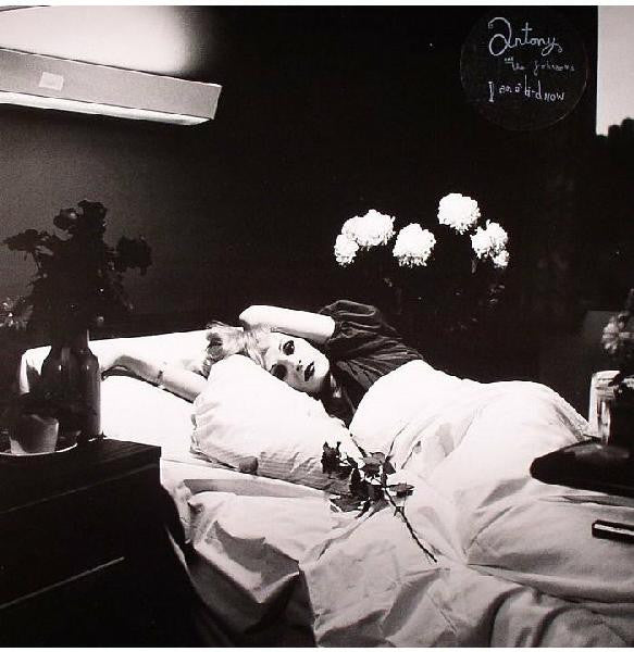 Antony & the Johnsons – I Am a Bird Now 🇺🇸