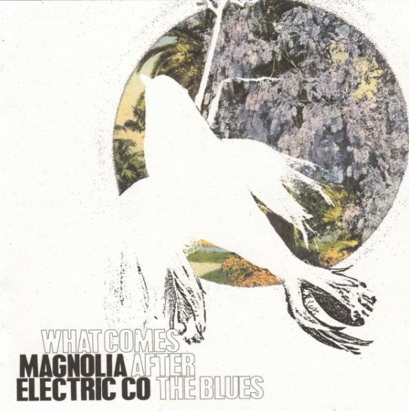 Magnolia Electric Co – What Comes After the Blues 🇺🇸