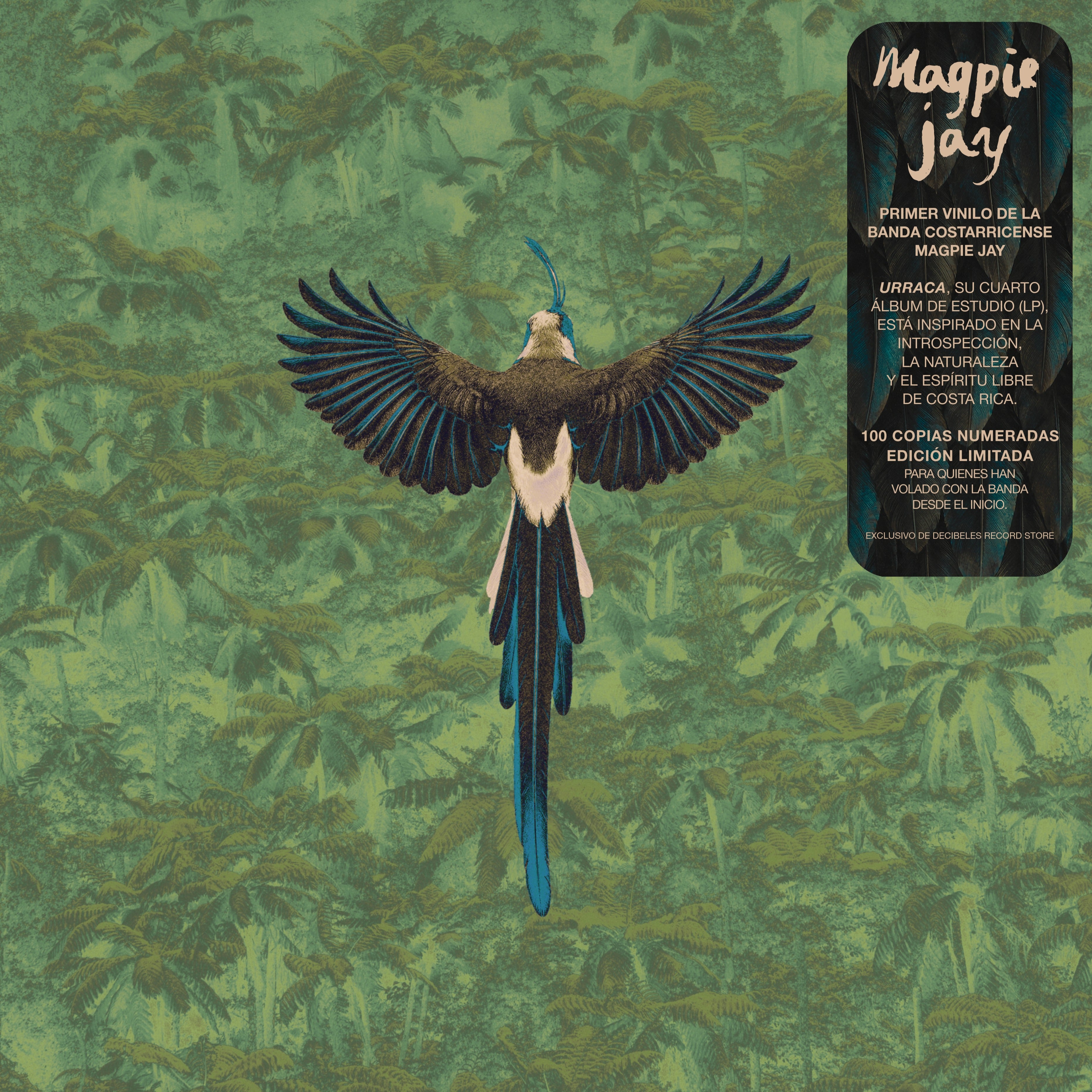 Magpie Jay - Urraca (Edición limitada 100 copias) [Preorden Lanzamiento 20 de Julio 2026]