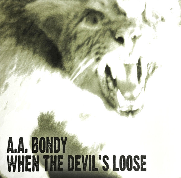 A.A. Bondy – When The Devil'S Loose 🇺🇸