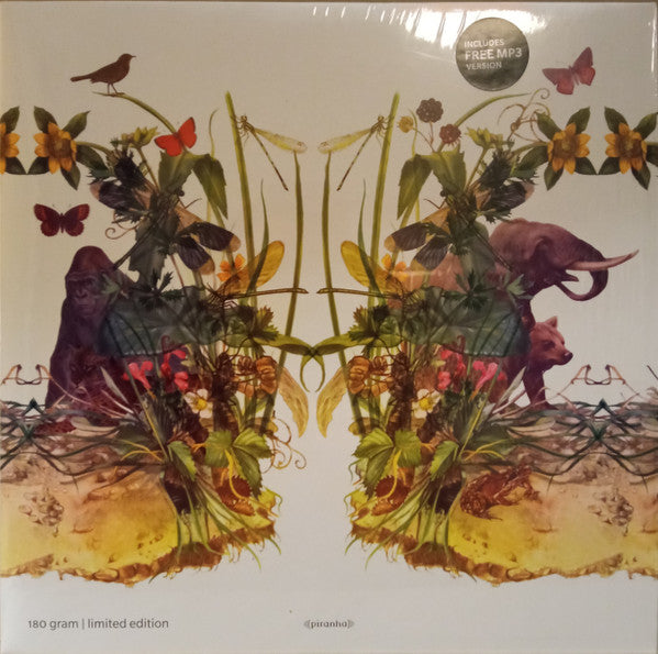 Dunkelbunt – Raindrops & Elephants 🇺🇸