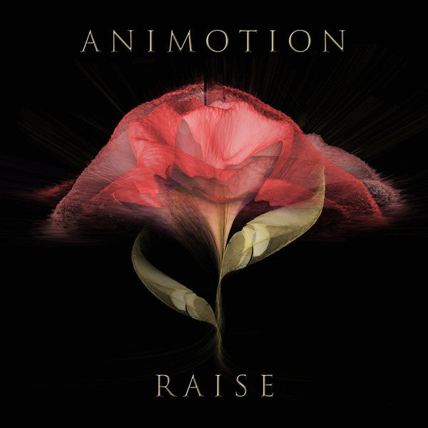 Animotion – Raise Your Expectations 🇺🇸