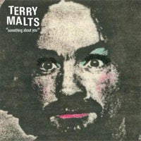 Terry Malts – Something About You 🇺🇸