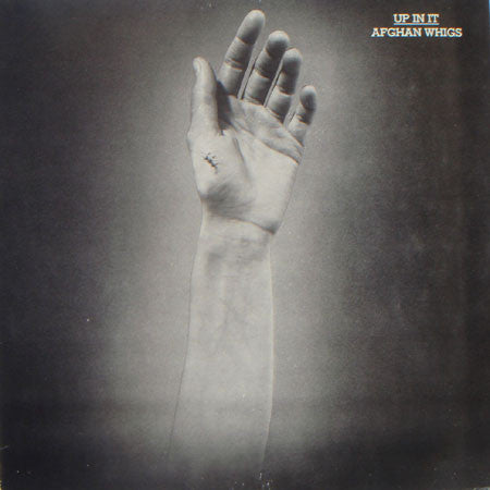 Afghan Whigs – Up in It (180G/DL Card) 🇺🇸