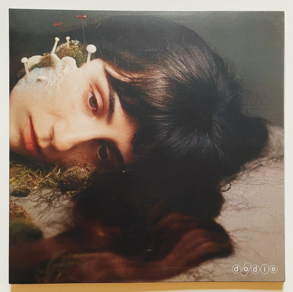 Dodie – Not for Lack of Trying (Signed Insert) (I) 🇺🇸