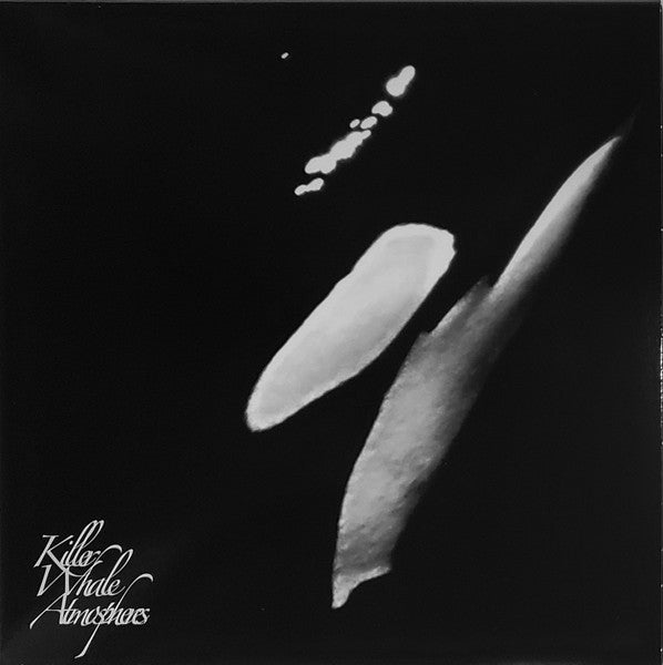 Rainforest Spiritual Enslavement – Killer Whale Atmospheres 🇺🇸