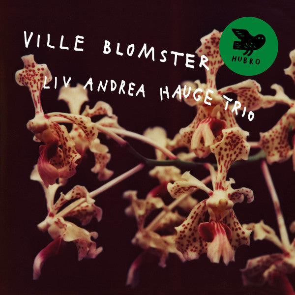 Liv Andrea Hauge Trio – Ville Blomster 🇺🇸