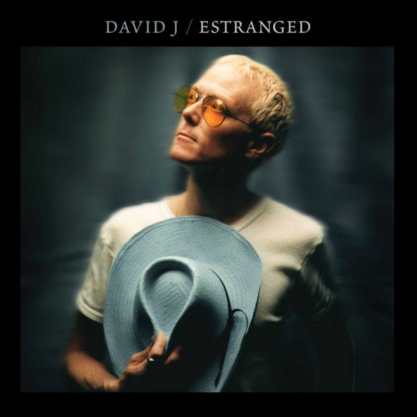David J – Estranged (Blue Vinyl/2lp) 🇺🇸
