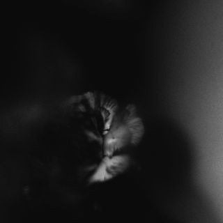 Holding Absence – Holding Absence (Clear W/ Black Splatter Vinyl) 🇺🇸