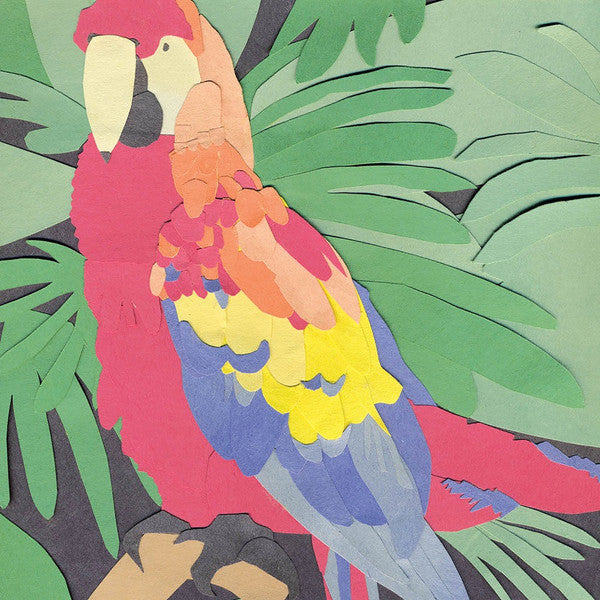 Algernon Cadwallader – Parrot Flies 🇺🇸