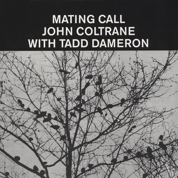 Tadd & John Coltrane Dameron – Mating Call 🇺🇸