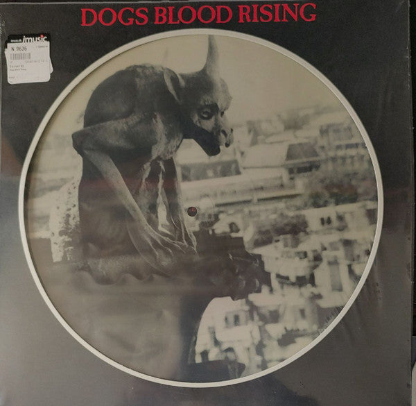 Current 93 – Dogs Blood Rising (Picture Disc) 🇺🇸