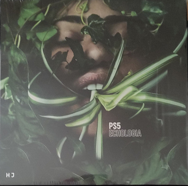 PS5 – Echologia 🇺🇸