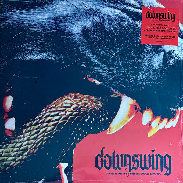 Downswing – And Everything Was Dark 🇺🇸