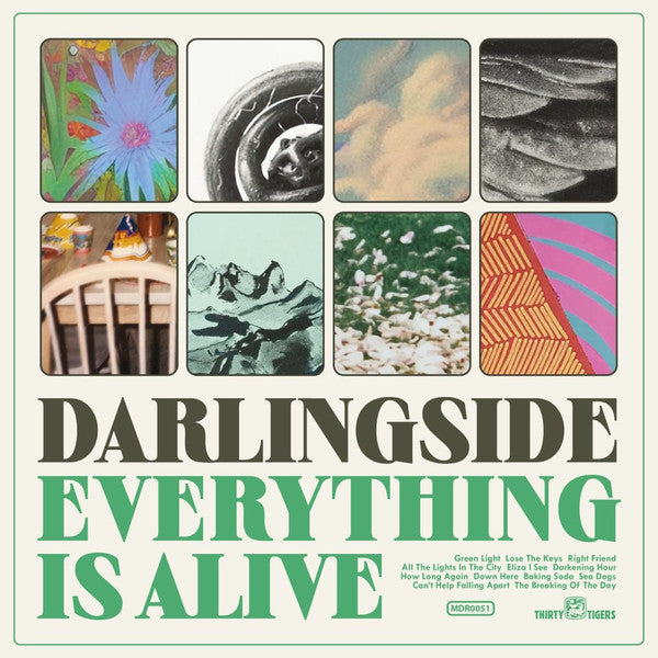 Darlingside – Everything is Alive 🇺🇸