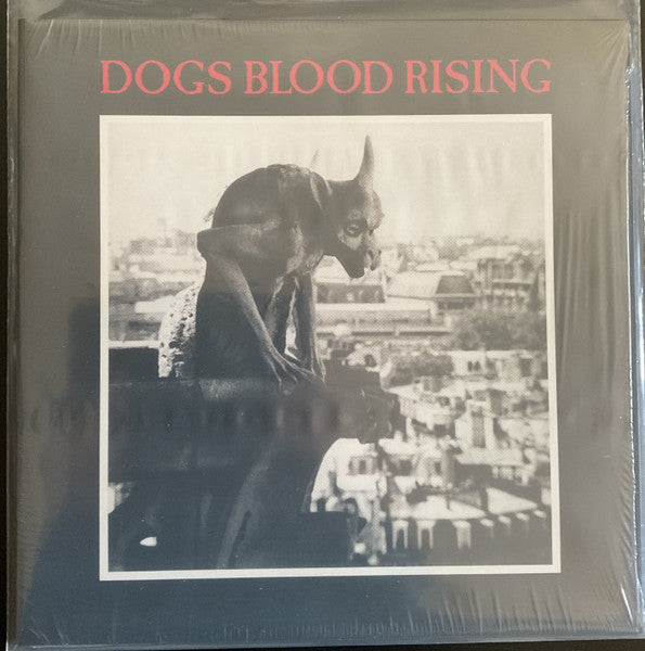 Current 93 – Dogs Blood Rising 🇺🇸