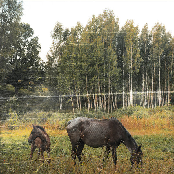 Pianos Become the Teeth – Old Pride (Forest Green Vinyl) 🇺🇸