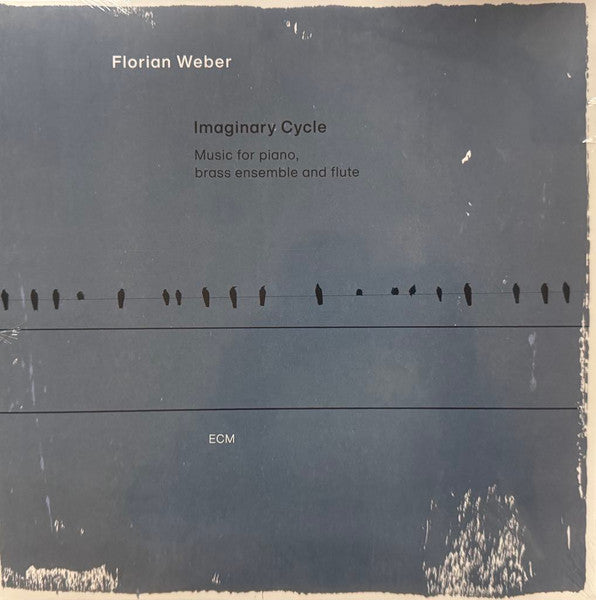 Florian Weber – Imaginary Cycle (2LP) 🇺🇸