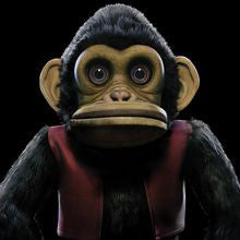 Edo Van Breemen – Monkey 🇺🇸