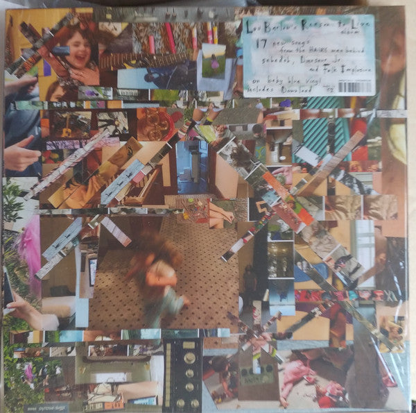 Lou Barlow – Reason to Live (Baby Blue Vinyl) 🇺🇸