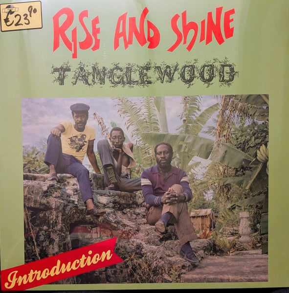 Tanglewood – Rise & Shine 🇺🇸