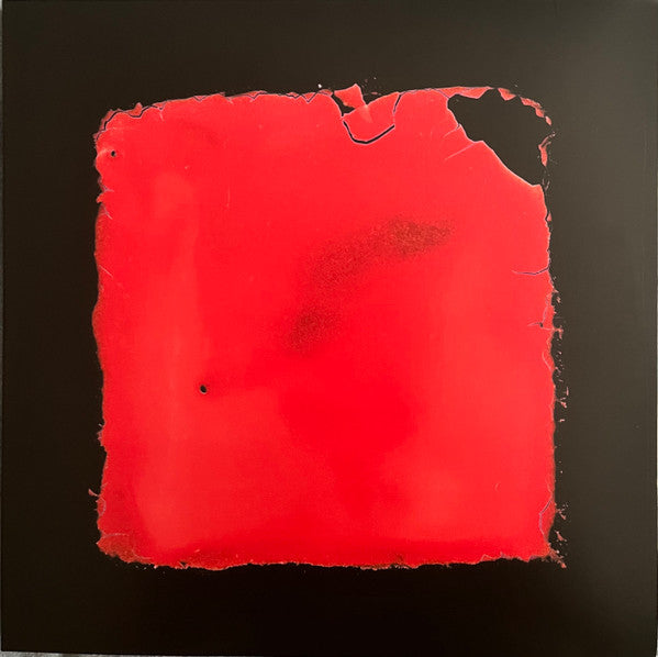 Salvia Palth – Last Chance to See (2LP) 🇺🇸