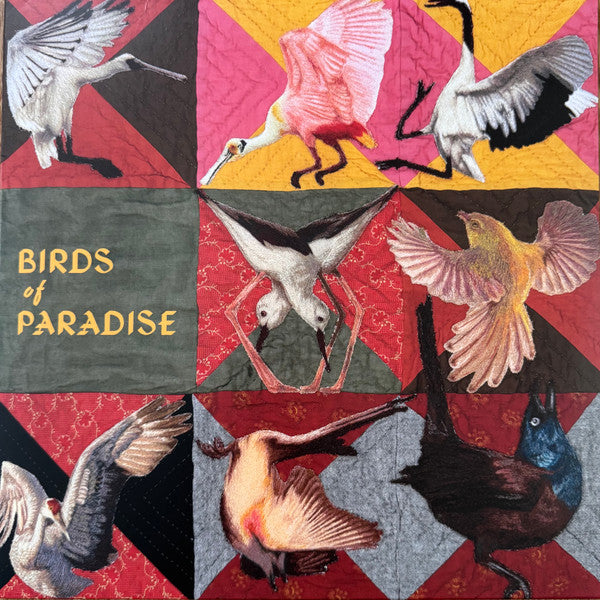 Thomas Dollbaum – Birds of Paradise (Roseate Spoonbill Pink Vinyl) 🇺🇸