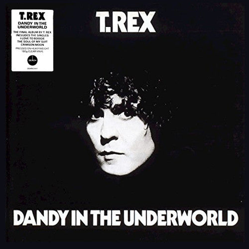 T. Rex – Dandy in the Underworld (Clear Vinyl) 🇺🇸