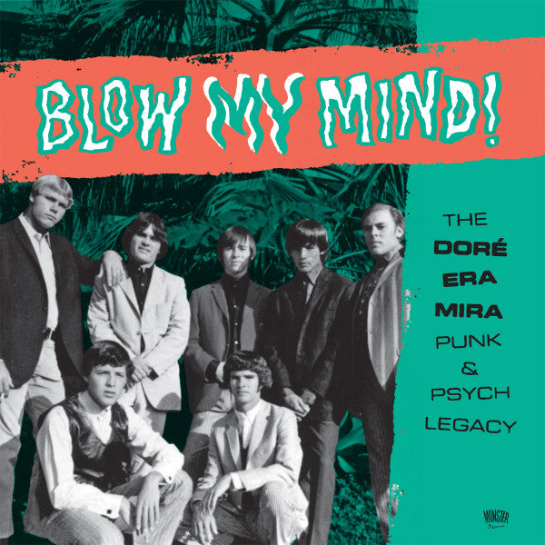 Various Artists – Blow My Mind! (2LP) 🇺🇸