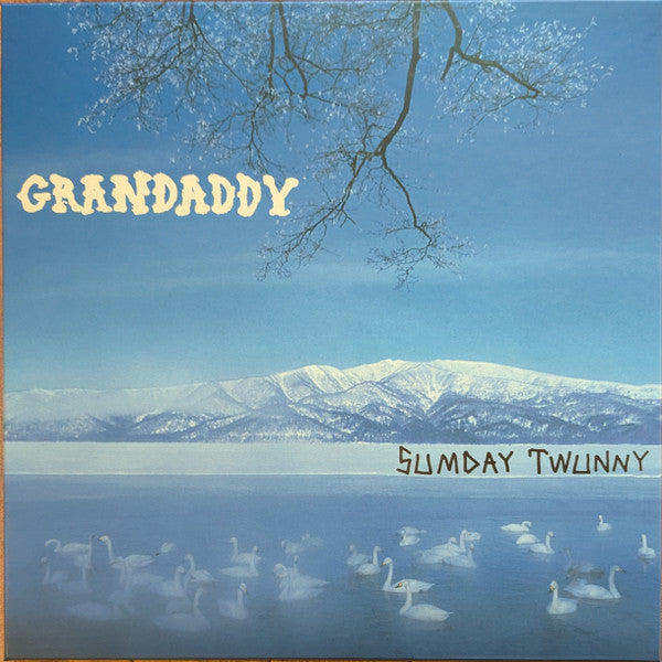 Grandaddy – Sumday: Twunny (4LP) 🇺🇸