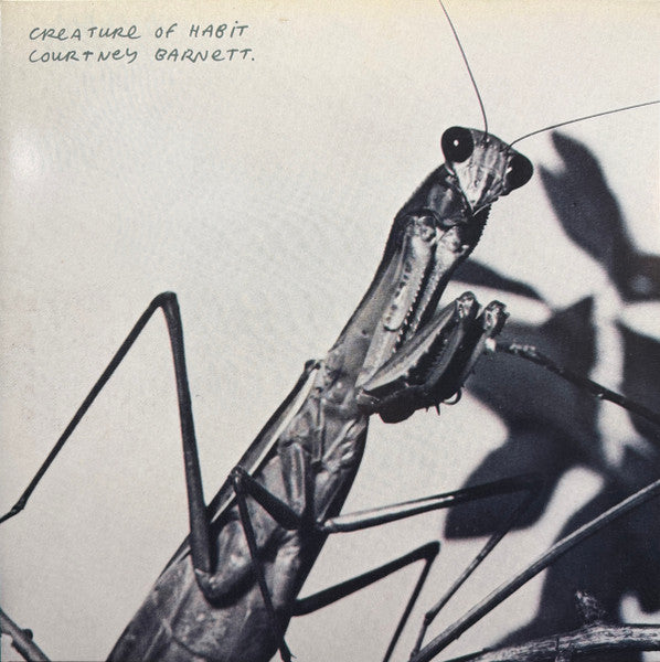 Courtney Barnett – Creature of Habit (Caramel Vinyl/140G) (I) 🇺🇸