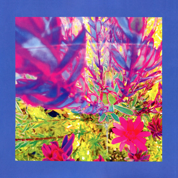 Pinks & Purples Reds – Past is a Garden I Never Fed (Neon Pink Vinyl) 🇺🇸