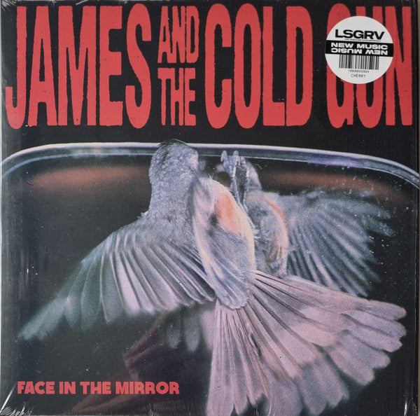 James & the Cold Gun – Face in the Mirror 🇺🇸