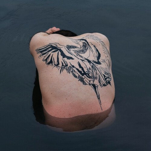 Jodi – Blue Heron (Transparent Dark Teal Vinyl/160G) 🇺🇸