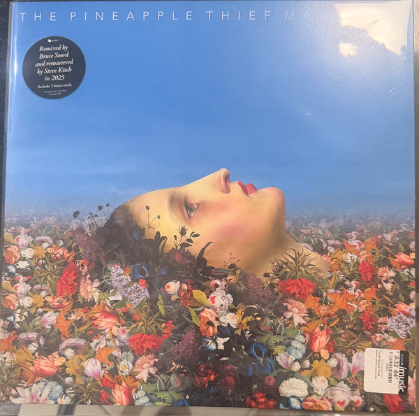 Pineapple Thief – Magnolia (2025 Mix) (2LP) 🇺🇸