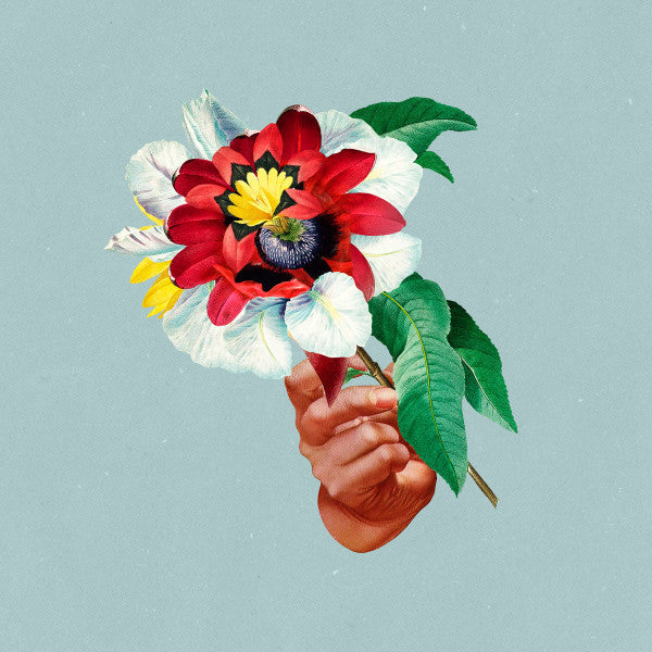 Maribou State – Kingdoms in Colour (Color Vinyl) 🇺🇸
