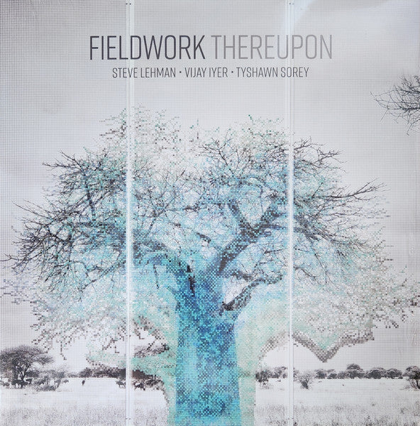 Fieldwork – Thereupon 🇺🇸