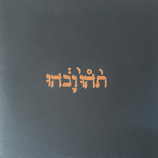 Godspeed You Black Emperor – Slow Riot for New Zero Kanada 🇺🇸